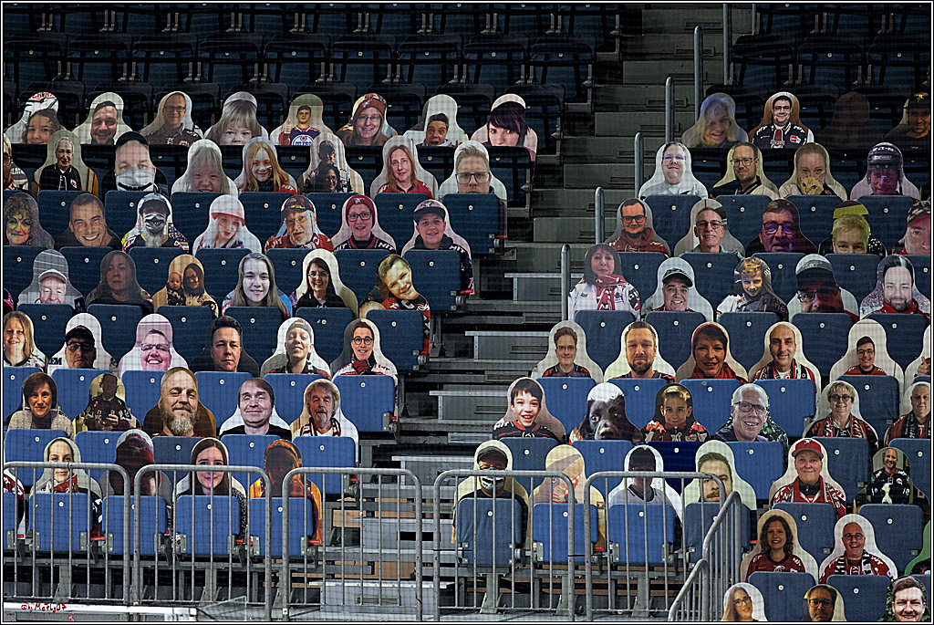 PENNY DEL;  Koelner Haie - Fischtown Pinguins Bremerhaven; Koeln, 12.02.2021